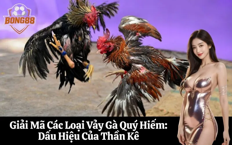 Giải Mã Các Loại Vảy Gà Quý Hiếm Dấu Hiệu Của Thần Kê