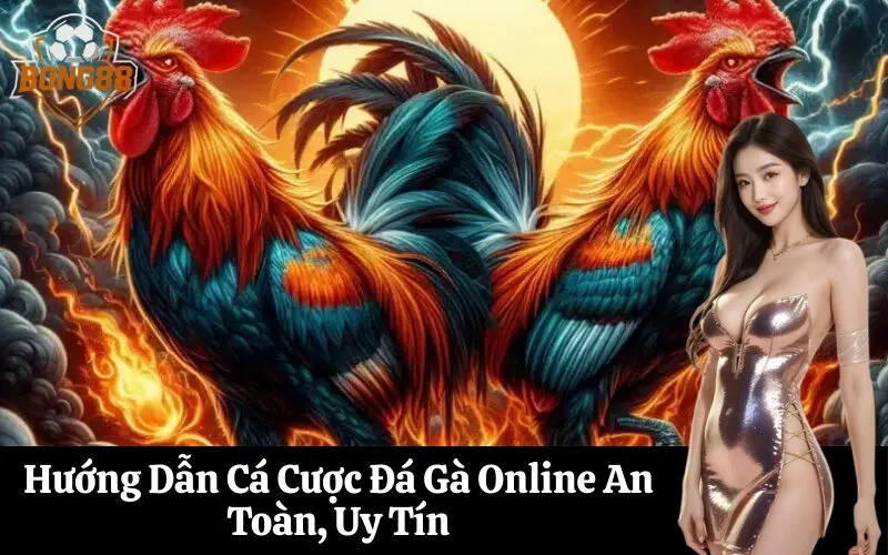 Hướng Dẫn Cá Cược Đá Gà Online An Toàn, Uy Tín
