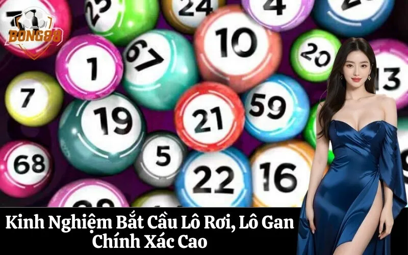 Kinh Nghiệm Bắt Cầu Lô Rơi, Lô Gan Chính Xác Cao